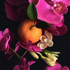 Skin Perfecting Body Lotion - Perfecting Super Curated Panorama