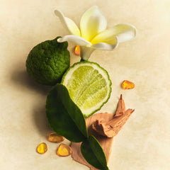 Scent Layering Trio - Scent Muse Curated Panorama