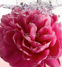 All Over Deo - All Bloom Curated Panorama