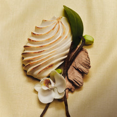 Scent Layering Trio - Scent Vanilla Curated Panorama