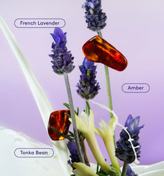Skin Replenishing Body Wash - Lavender Latte Curated Panorama